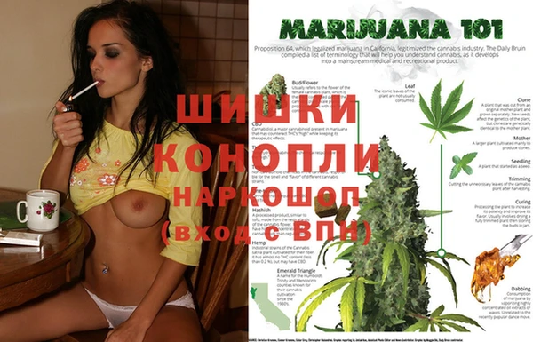 не бодяженный Арсеньев