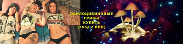 не бодяженный Арсеньев