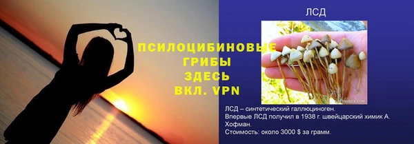 PSILOCYBIN Покров