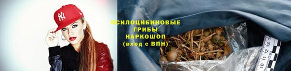 не бодяженный Арсеньев