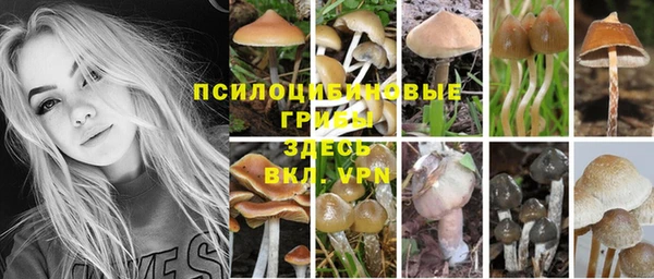 прущие крисы Армянск