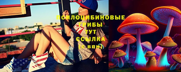 дурь Покачи