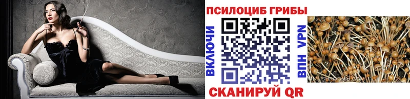 где купить наркотик  Полевской  даркнет формула  Галлюциногенные грибы Magic Shrooms 
